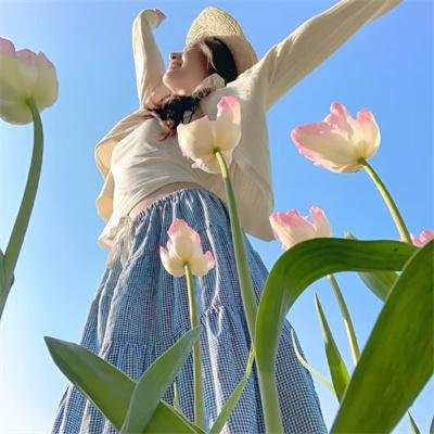鸽子隧道